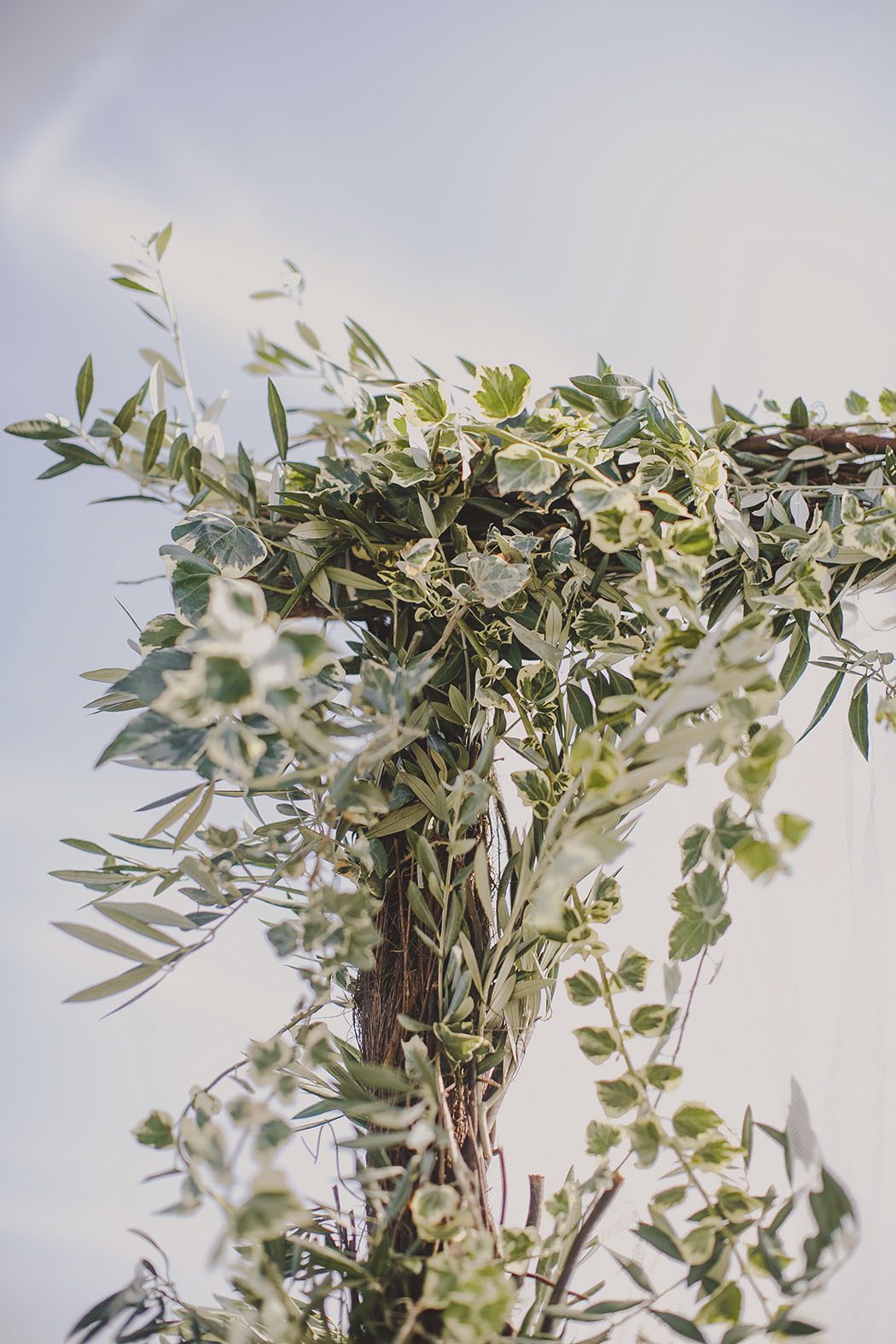 View More: http://raquelbenito.pass.us/julie-bruno-wedding